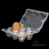 6-EGG TRAY