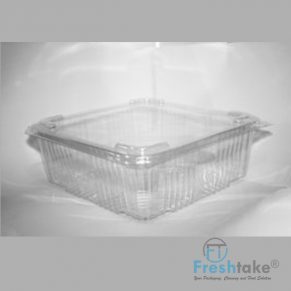 ART-2000 CLEAR CONTAINER WITH LID ATTACHED