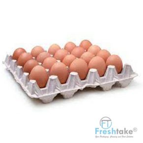 EGG TRAY